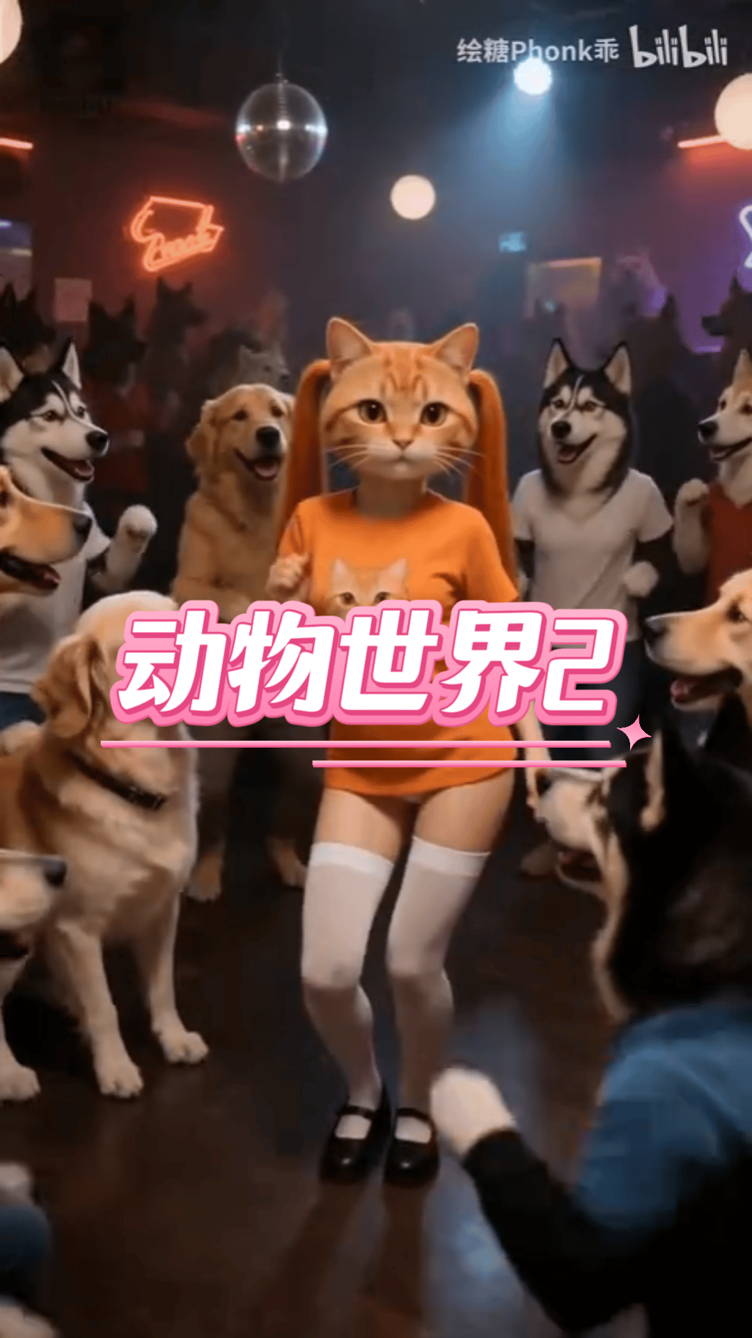 57橘猫养育细则